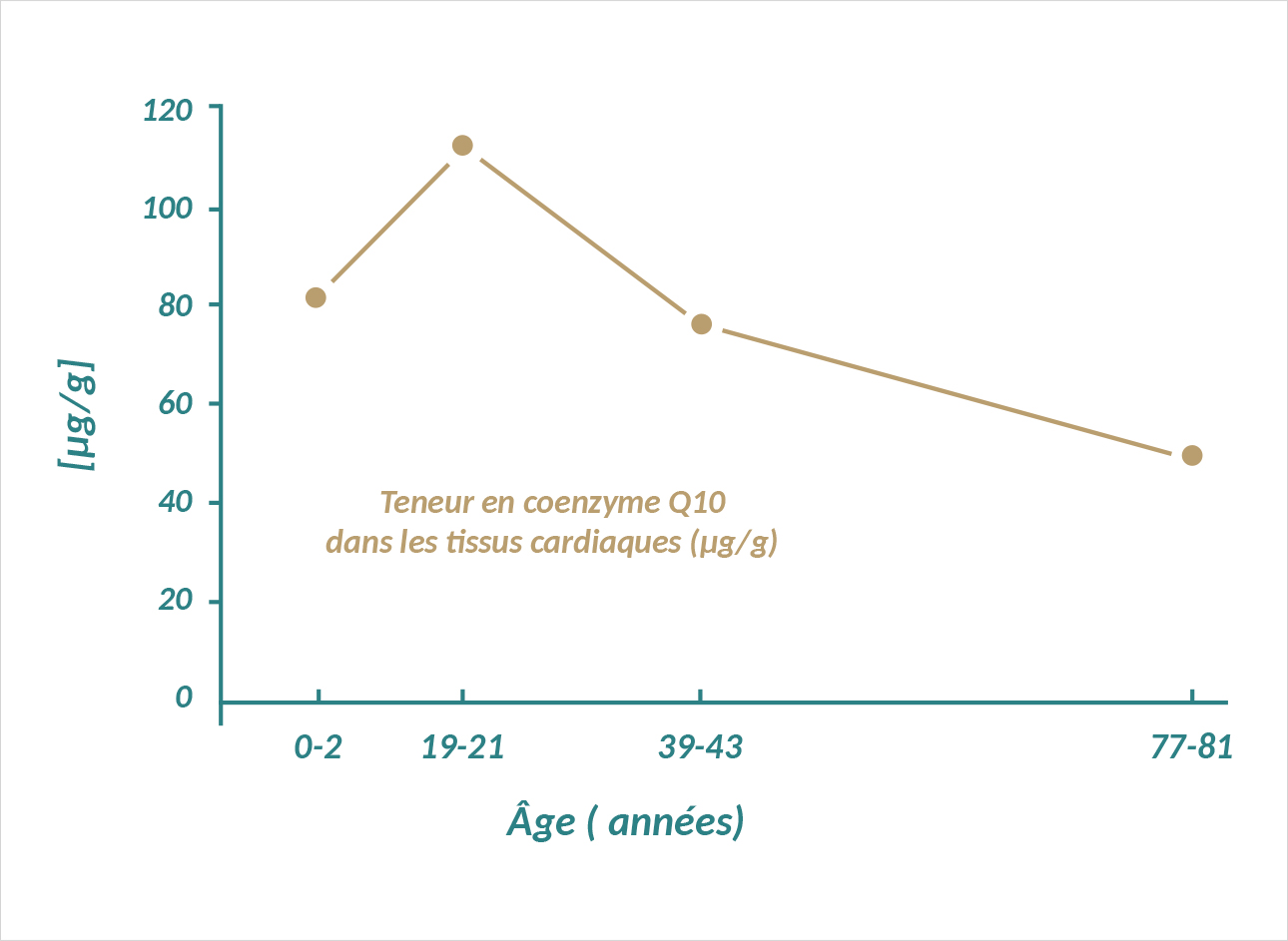 Schéma montrant que la concentration en coenzyme Q10 du cœur diminue avec l’âge