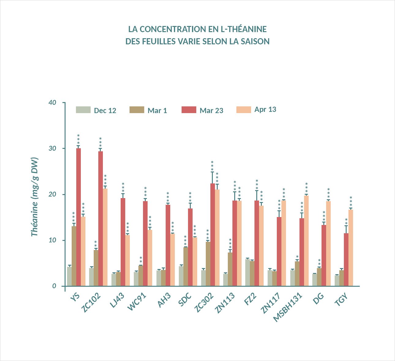 Graphique présentant  la concentration en L-théanine des feuilles variant selon la saison 