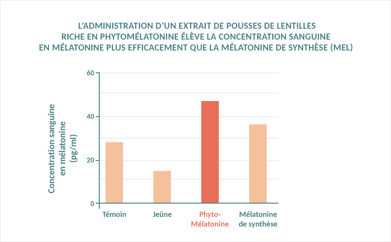 Graphique expliquant que l’administration d’un extrait de pousses de lentilles riche en phytomélatonine élève la concentration sanguine en mélatonine plus efficacement que la mélatonine de synthès
