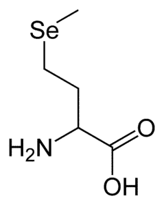 Représentation d’une molécule de sélénométhionine