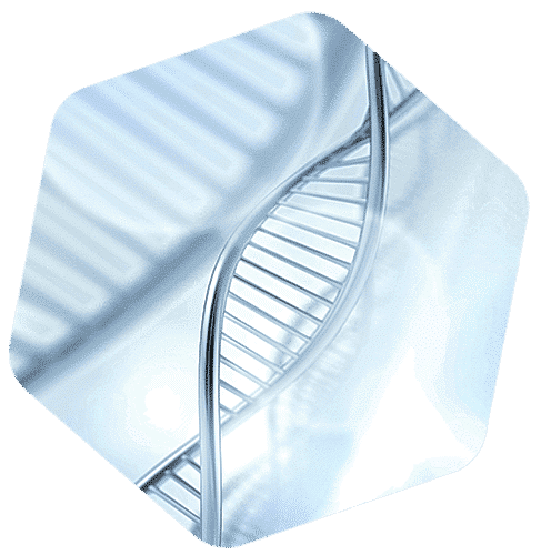 représentation stylisée d’un brin d’ADN