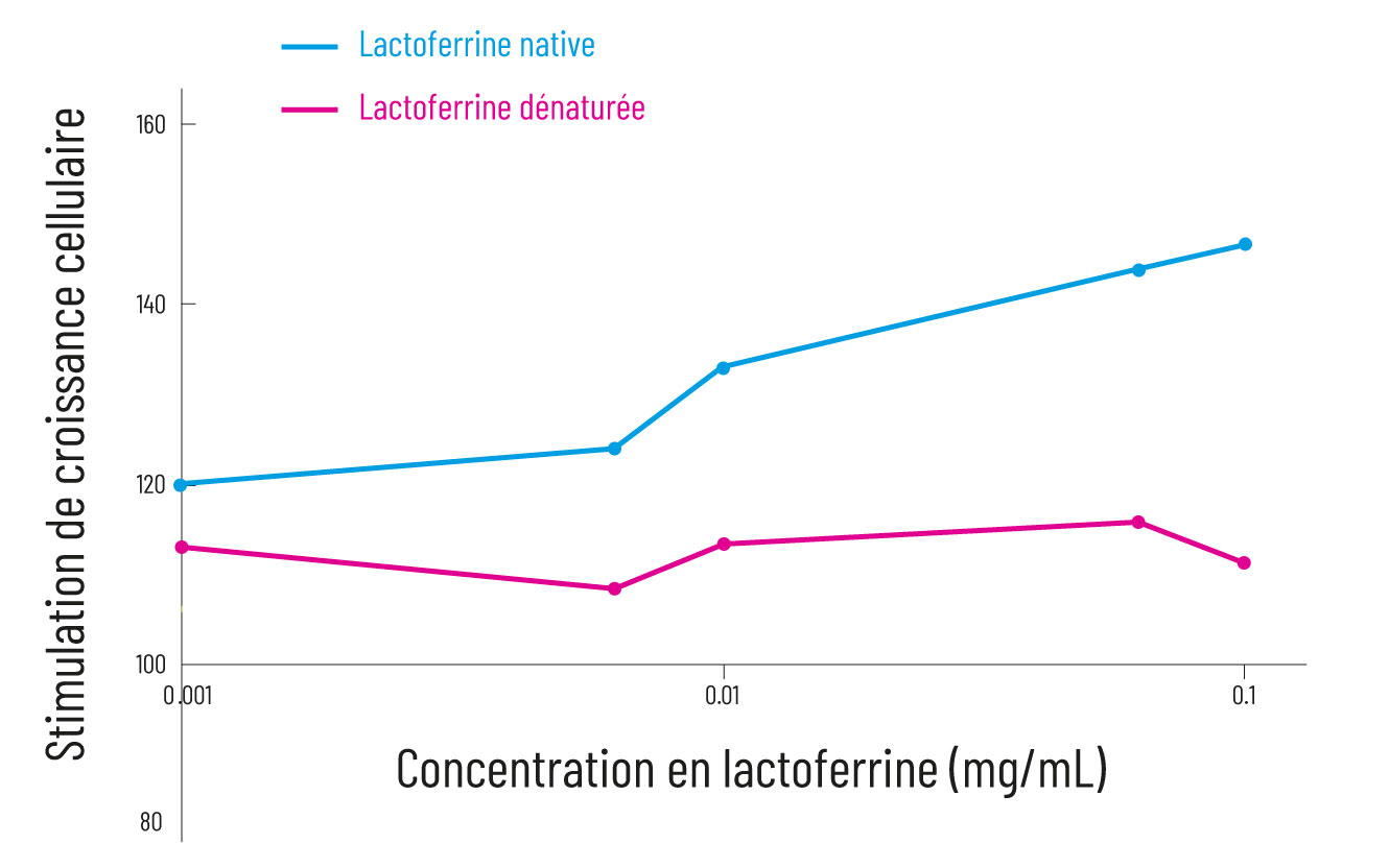 Comparaison d’activité biologique entre la lactoferrine native et dénaturée