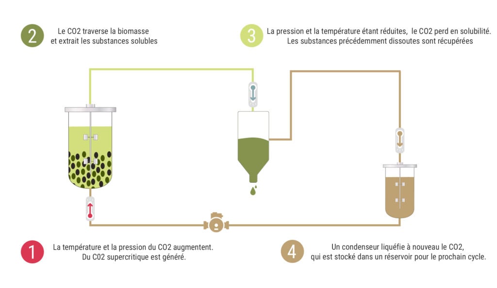 Schéma montrant le processus d’extraction par CO2 supercritique.