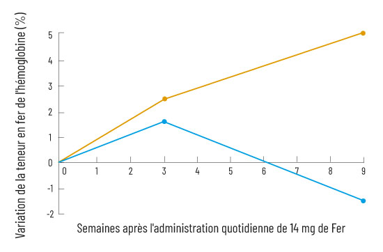 Évolution (en pourcentage) de la concentration en fer de l’hémoglobine durant 9 semaines d’administration orale quotidienne de 14 mg de fer sous forme de Fer végétal, qualité Equifer® (en orange) ou de gluconate de fer (en bleu).