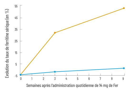 Évolution (en pourcentage) du taux de ferritine sérique durant 9 semaines d’administration orale quotidienne de 14 mg de fer sous forme de Fer végétal, qualité Equifer® (en rouge) ou de gluconate de fer (en noir).