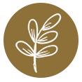 Icône feuille minimaliste sur fond beige