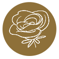 Icône fleur stylisée sur fond beige