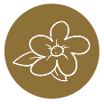 Icône fleur minimaliste sur fond beige