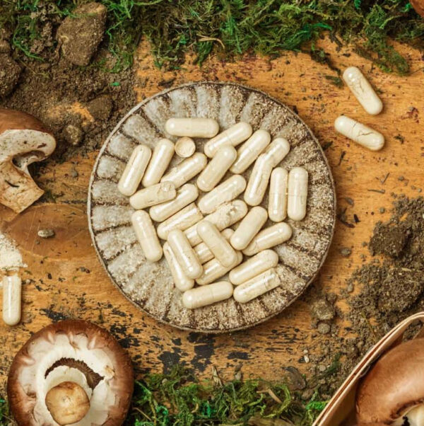 immunite_pillules_2026 Gélules Biotique Immunité UNAE dans un bol avec champignons et éléments naturels sur fond bois