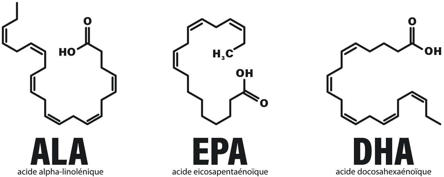 Molécules d’oméga-3 ALA, EPA et DHA