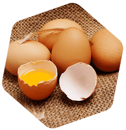 œufs de poule