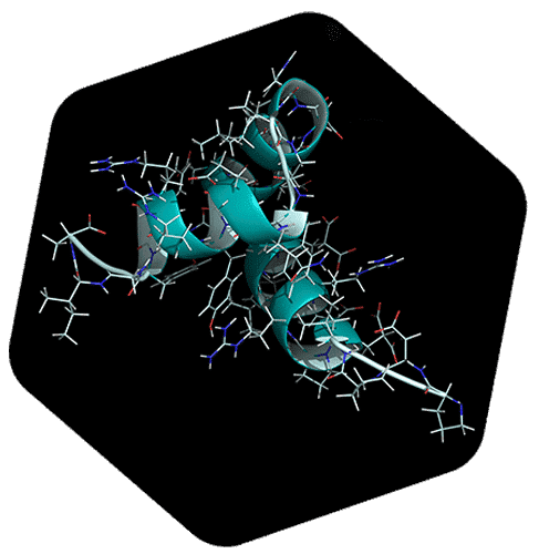 Rendu 3D d’une protéine d’ostéocalcine