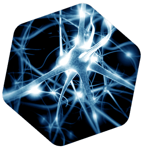 Vue d’artiste 3D de neurones